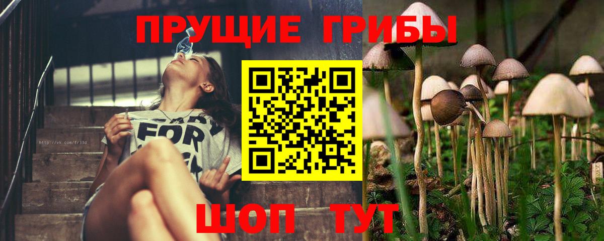 купить наркотики цена  Галлюциногенные грибы мицелий  Галлюциногенные грибы прущие грибы  Вход с VPN  Кохма 